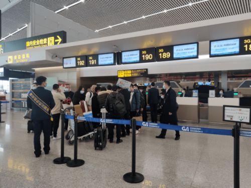 服務暖人心，真情助您行——地服公司高效保障廈航出入境包機紀實