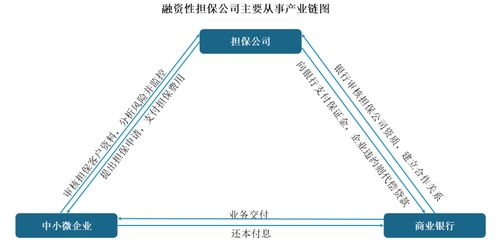 中國融資性擔保行業(yè)發(fā)展趨勢分析與投資前景預(yù)測報告 2022 2029年