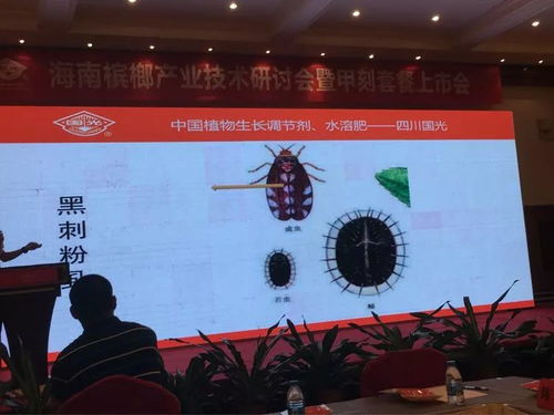 創(chuàng)新驅(qū)動(dòng)，合作共贏 2018檳榔產(chǎn)業(yè)技術(shù)研討交流會(huì)之軟件開(kāi)發(fā)篇